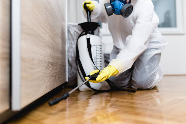 Best Termite Control Services  in Wilberforce, OH