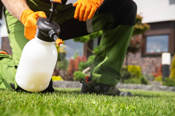 Best Best Pest Control Companies  in Wilberforce, OH